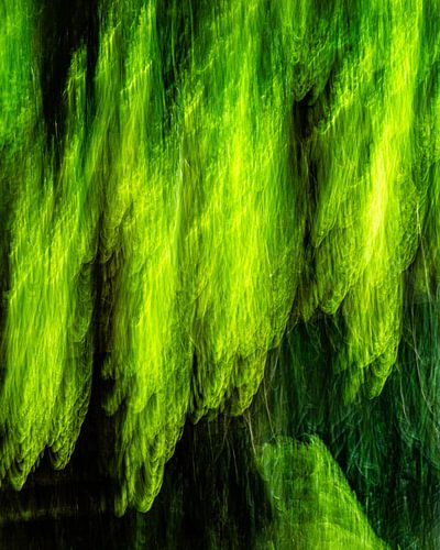 Fluisterende golven van groen