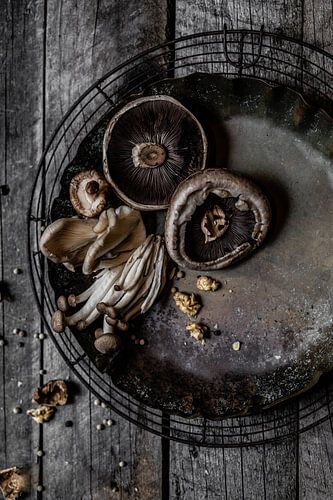 moody mushrooms