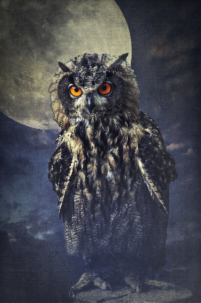 Uhu von AD DESIGN Photo & PhotoArt