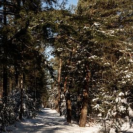 Een bospad vol met sneeuw van Tamara Geluk