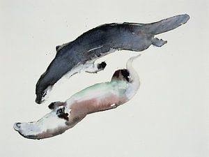 Seerobben von Mark Adlington