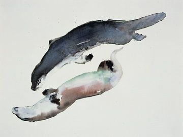 Seals by Mark Adlington