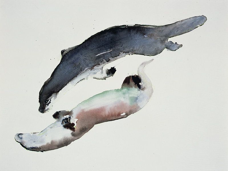 Seerobbs van Mark Adlington