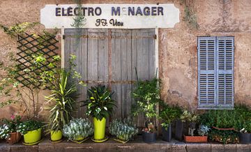 French façade with plants