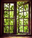 Out the window by Sonja Pixels thumbnail