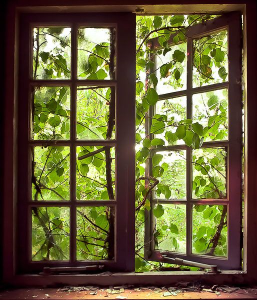 Out the window by Sonja Pixels