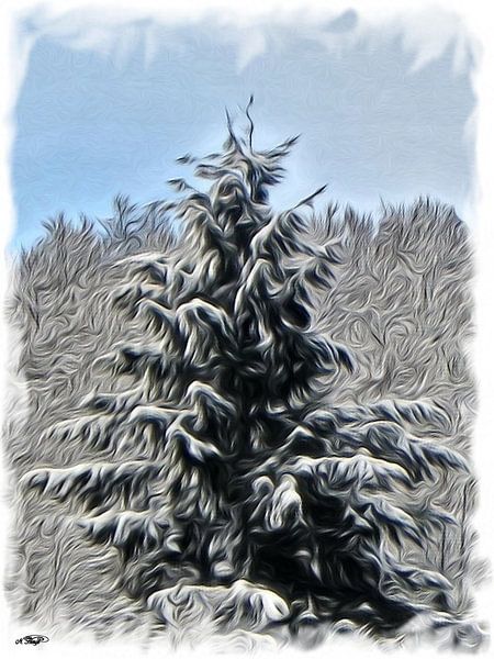 Trees are dreams by Norbert Hergl