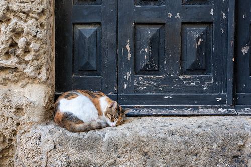 Gelassenheit in der Altstadt