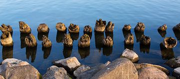 Old scaffolding poles by Johan Zwarthoed