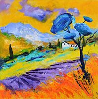 Provence -4402
