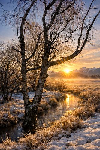 Sfeervolle winterochtend in het MurnauerMoos in Opper-Beieren.