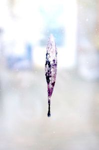 It is there, abstract colour photography