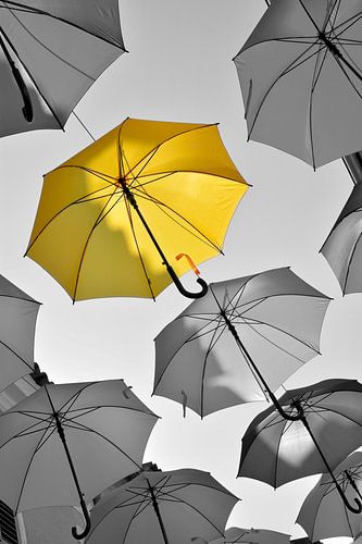 Parapluies comme décoration ou œuvre d'art au-dessus d'une ruelle dans la vieille ville de Novigrad