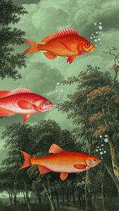 It's The Season of Flying Fish
