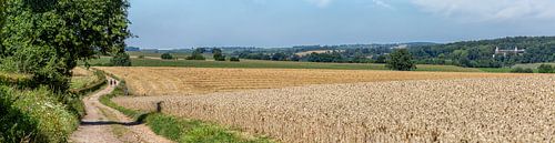 Limbourg Sud, vous y vivrez