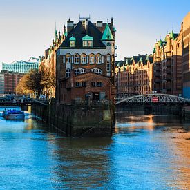 Sightseeing tour in Hamburg by Ursula Reins