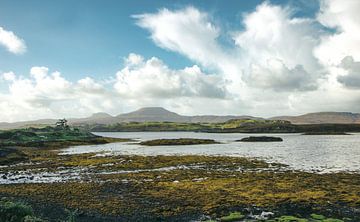 Schottland im Sommer. Die berühmten Highlands in stiller Idylle und Einsamkeit. von Jakob Baranowski - Photography - Video - Photoshop