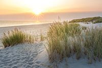 Lever de soleil dans les dunes de la réserve naturelle de Elbow