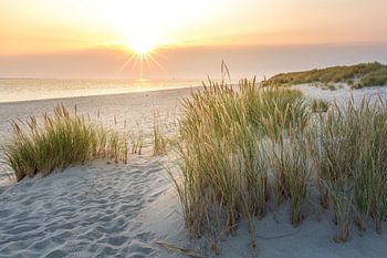 Sonnenaufgang in den Dünen im Naturschutzgebiet Ellenbogen