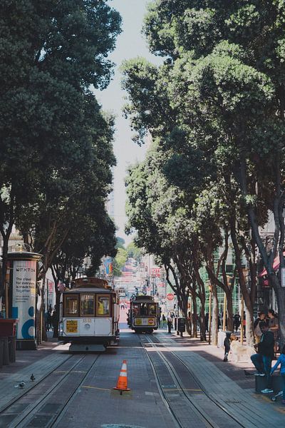 San Francisco by Hello Pompoyo