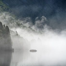 Brouillard matinal au bord du lac sur Ralf Lehmann