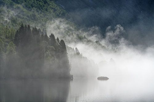 Brouillard matinal au bord du lac