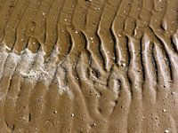 Watersporen op het strand.