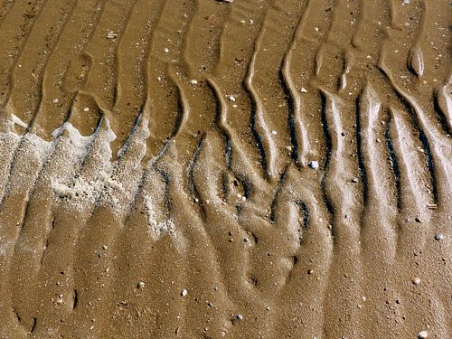 Watersporen op het strand.