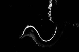 Het laatste beetje zonlicht