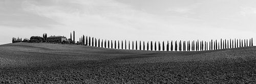 Alee in Val d'Orcia