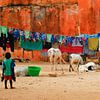 Photographies de l'Ile de Gorea/Sénégal. sur Ineke de Rijk