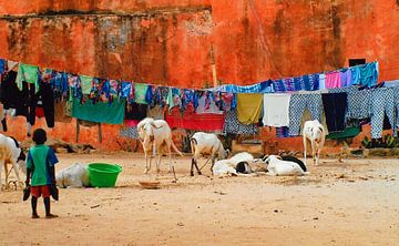 Foto's van Ile de Gorea/ Senegal.(1) van Ineke de Rijk
