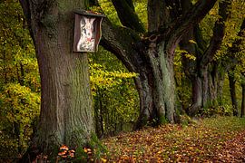 Drie oude lindebomen met een wegkruis van Holger W. Spieker