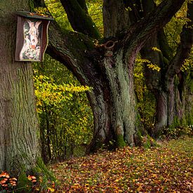 Three old lime trees with a wayside shrine by Holger W. Spieker