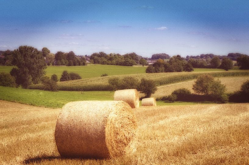 Strohballen van Gabi Siebenhühner