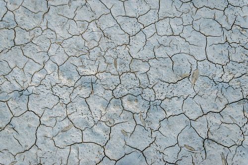 De sporen van droogte