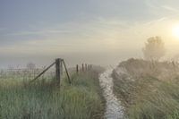 Foggy morning Yerseke Nut