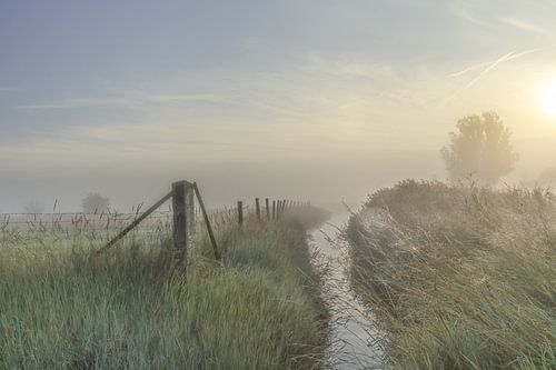 Nebliger Morgen Yerseke Nut
