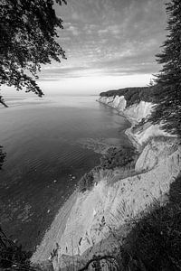 Kreidefelsen auf  Rügen in schwarzweiss . von Manfred Voss, Schwarz-weiss Fotografie