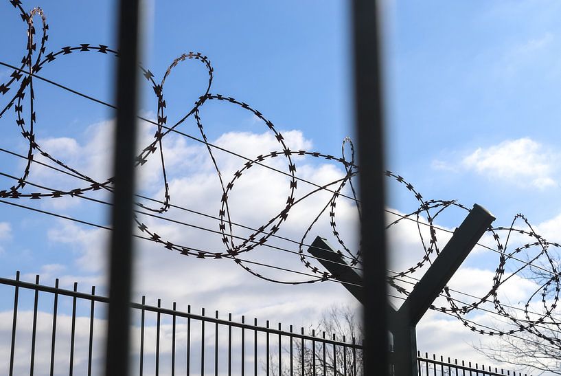 Close up of barbed wire on border fence by MPfoto71