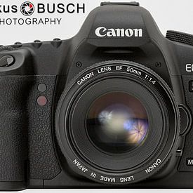 Markus Busch Profilfoto