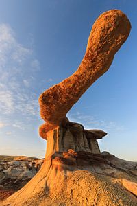 King of Wings, New Mexico, USA