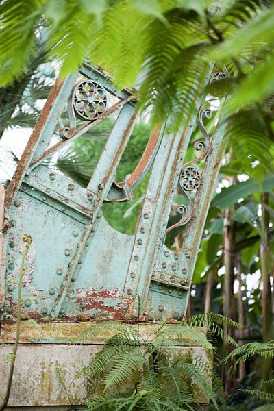 ijzer by marijke servaes