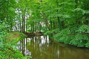 Flusslandschaft an der Hase
