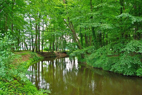 River landscape at the Hase