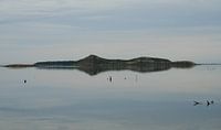 Île de l'Aute - Sigean - Aude - Occitanie - Frankrijk