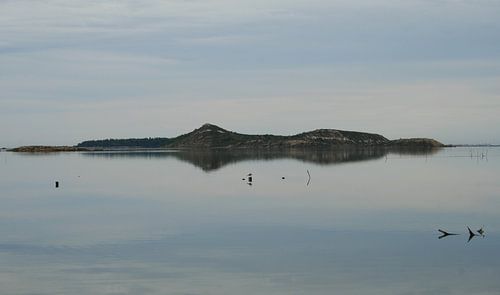 Île de l'Aute - Sigean - Aude - Occitanie - France