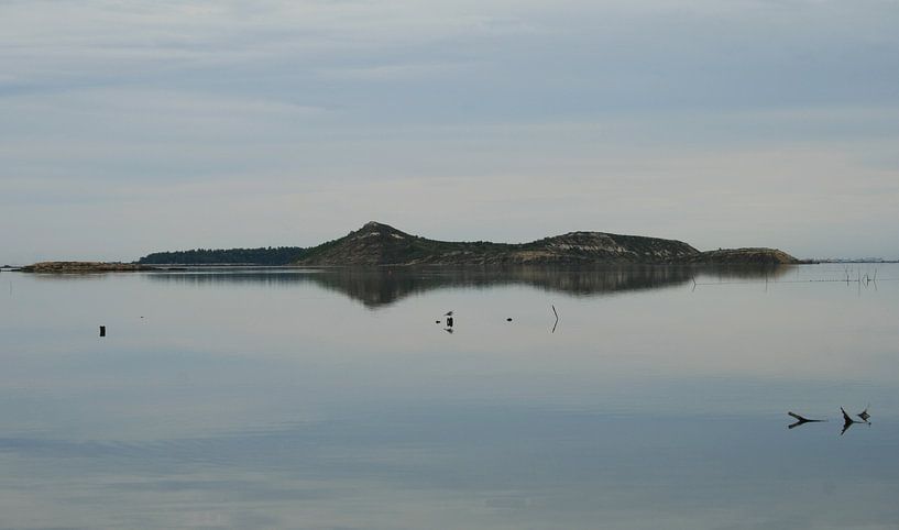 Île de l&#039;Aute - Sigean - Aude - Occitanie - France by Nicolas LEMAIRE