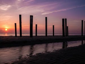 Die Pfähle in Petten von Larissa Geuke