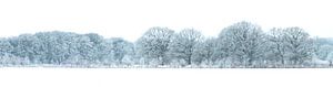 winters landschap Groningen